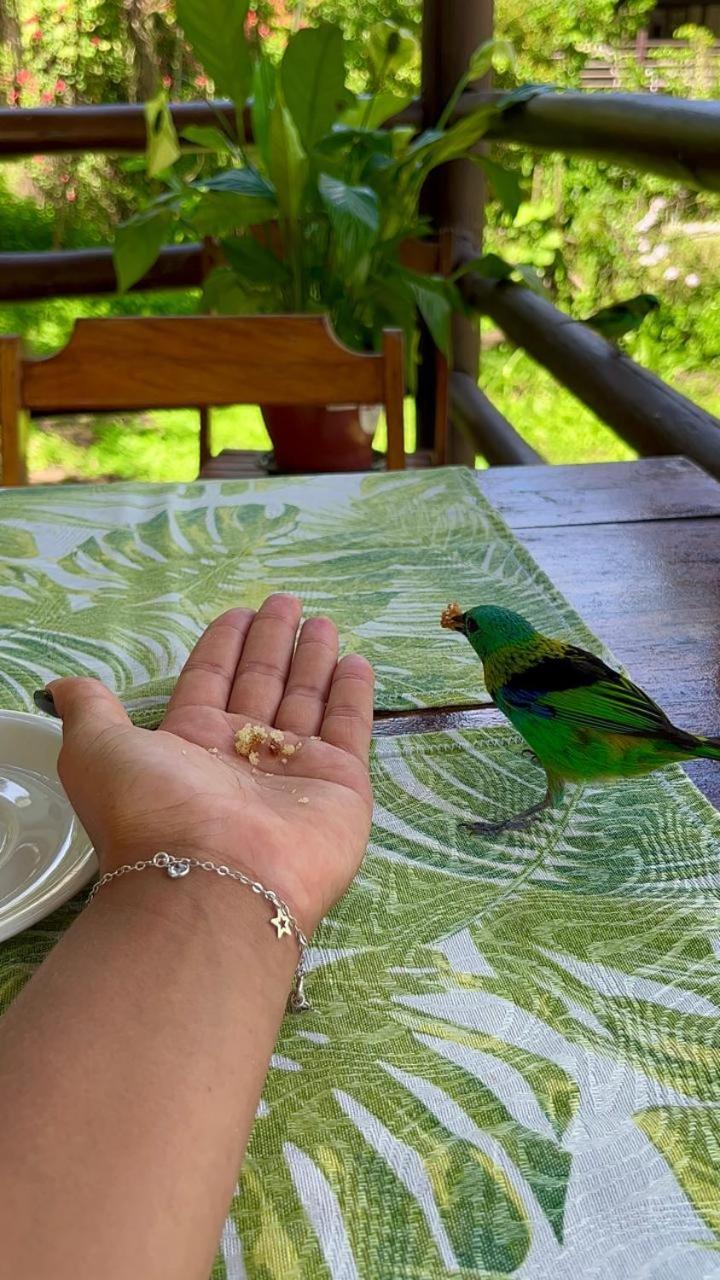 Chalés Sinbad Ilhabela Esterno foto